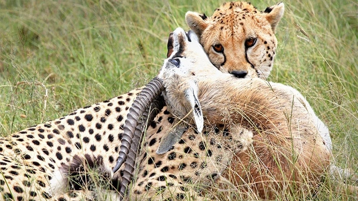 2-day Tsavo East exploration